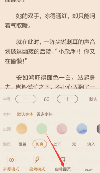 看小说中开启自动翻页的操作流程是什么