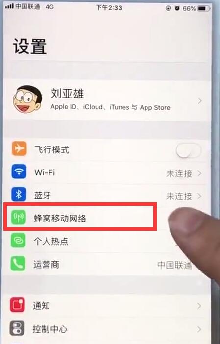 苹果7plus怎么查看流量使用情况