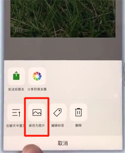 苹果7plus截长图怎么截