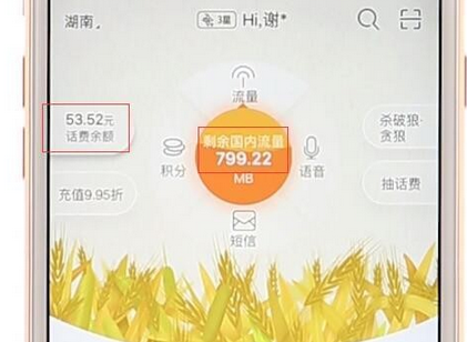 中国电信app中查询话费流量的具体操作步骤是