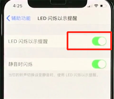 iphonexs来电闪光灯怎么开