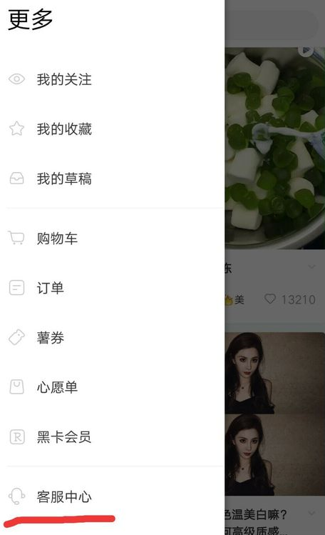 小红书中联系客服的详细操作步骤是什么