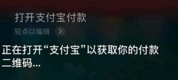 在支付宝里使用语音支付的详细操作是什么