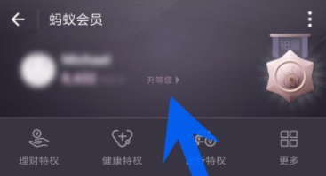 支付宝app查看蚂蚁会员等级的具体操作步骤