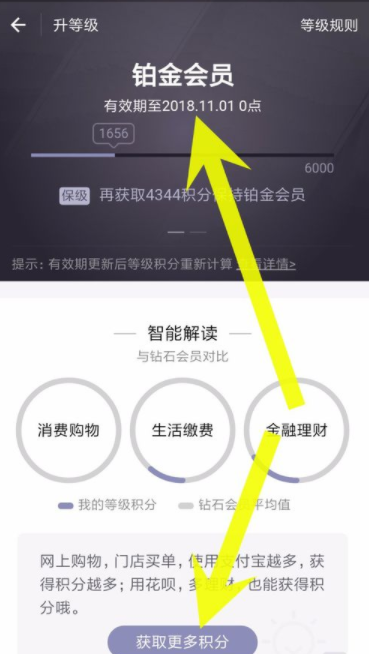 支付宝app查看蚂蚁会员等级的具体操作步骤