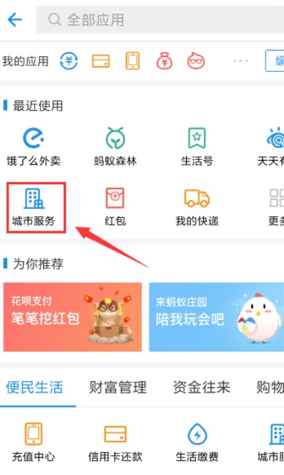 支付宝app中查询社保余额的详细操作步骤