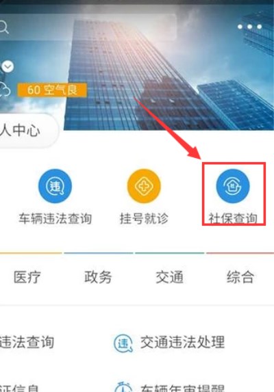 支付宝app中查询社保余额的详细操作步骤