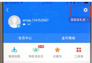 高德地图设置地图皮肤的具体操作流程是什么