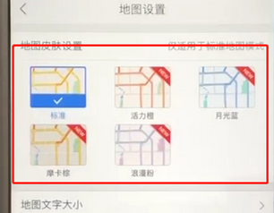 高德地图设置地图皮肤的具体操作流程是什么