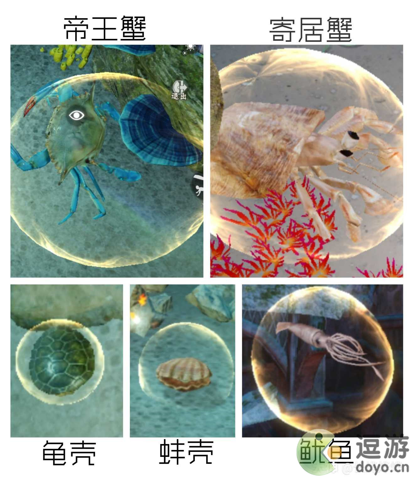 一梦江湖伏月节鲸波行生物图鉴一览