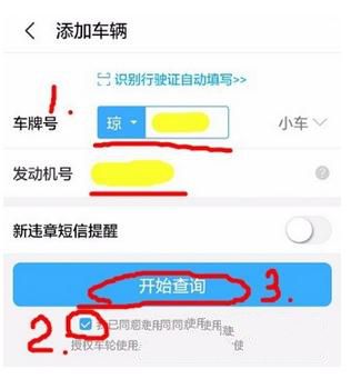 车轮查违章怎么查询违章