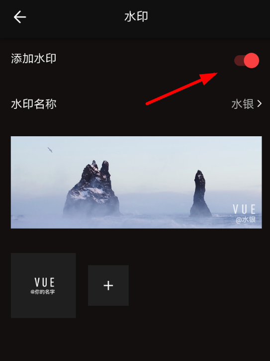 vue的水印可以去掉吗