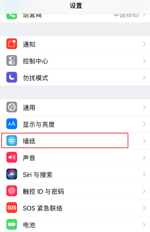 抖音设置为iphone动态壁纸的具体操作方法是什么