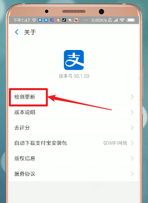 支付宝app找到更新入口的具体操作步骤