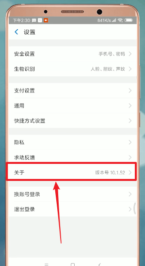 支付宝app中升级的具体操作步骤是什么