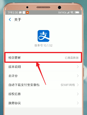 支付宝app中升级的具体操作步骤是什么