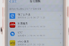 支付宝app查看授权的基础操作是什么