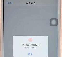 支付宝app使用暗号的操作流程是什么