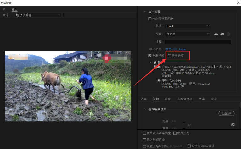 premiere导出没有声音