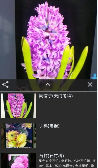 拍照识花用什么软件最好