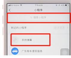 苹果手机设置手持弹幕的详细操作过程是什么