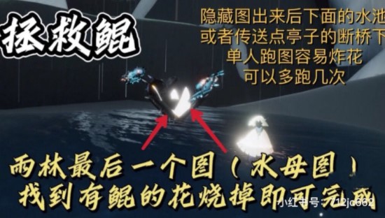 光遇12.20每日任务完成攻略2021