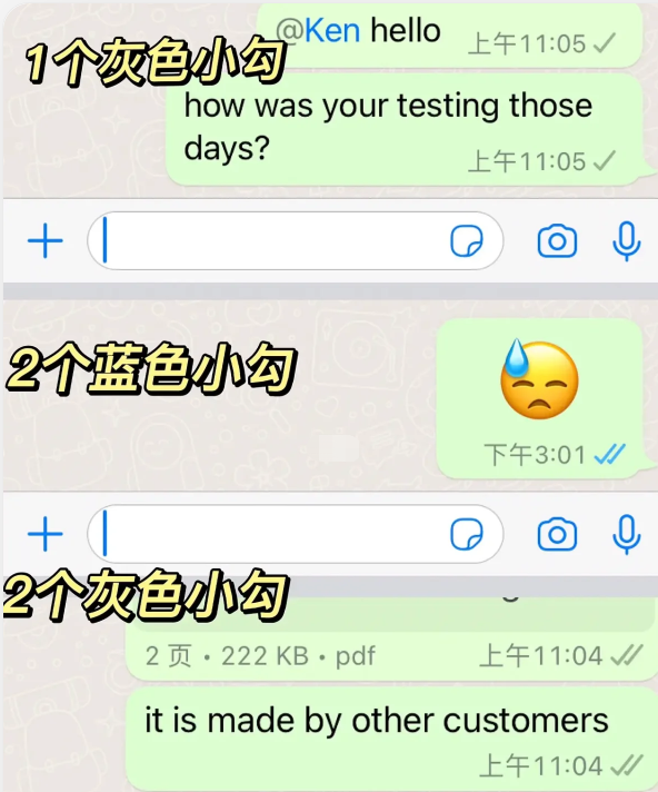 whatsapp一个勾和两个勾的区别是什么