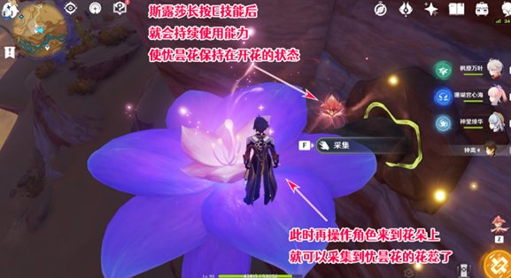 《原神》优昙花的花蕊怎么获得 优昙花花蕊怎么采集