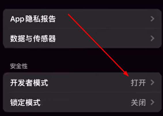 苹果ios17开发者模式怎么打开