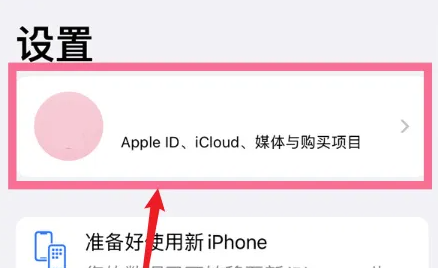 ios16.2取消订阅不见了