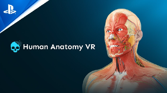 VR 解剖教育应用《Human Anatomy VR》已登陆 PSVR2 头显