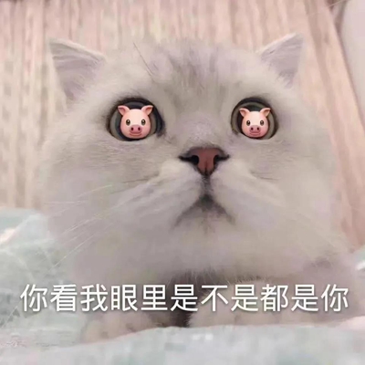 你看我眼里是不是都是你 猪表情包