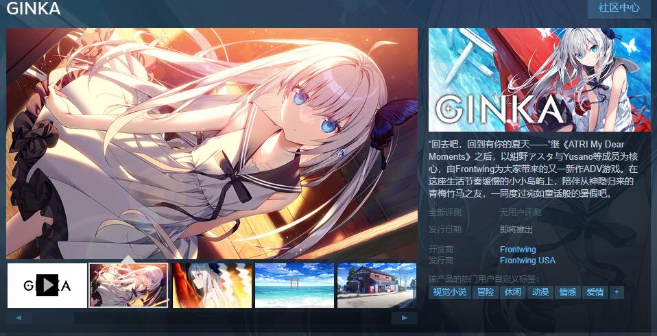 Frontwing ADV新作《GINKA》steam页面上线 支持简中