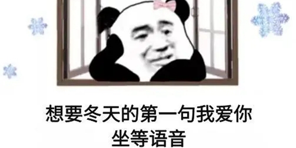 想要冬天第一句我爱你坐等语音表情包