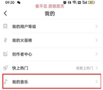 抖音火山版我的音乐在什么地方查看呢