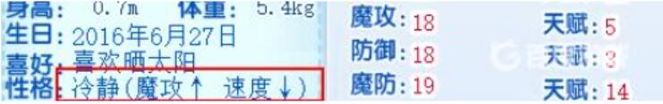 邪恶玄武性格推荐