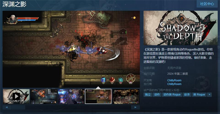 俯视角动作肉鸽游戏《深渊之影》上线Steam 支持简体中文