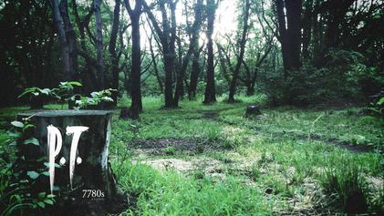 岛学家在行动 粉丝在《OD》预告片中发现《寂静岭》线索