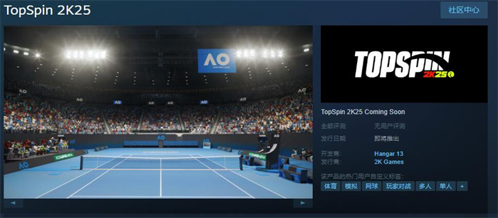 网球模拟游戏《TopSpin 2K25》上线Steam 支持简体中文