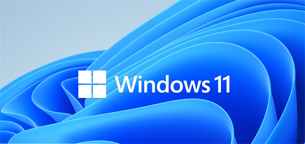 windows11家庭版和专业版哪个好