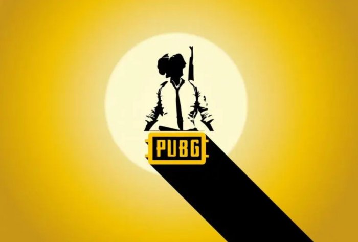 《绝地求生PUBG》萌新入坑教程 萌新避坑指南