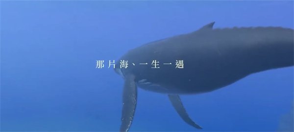 海洋探索游戏《永恒蔚蓝：流光》中文版介绍公布