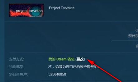 steam土耳其区怎么支付