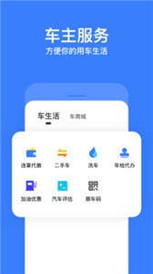 违章查询截图3