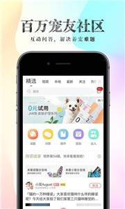 波奇宠物截图1