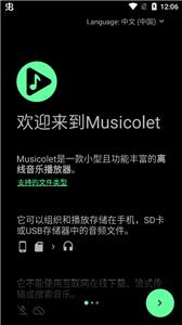 Musicolet音乐截图1