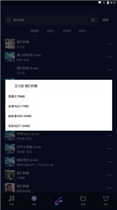 Fly音乐截图1