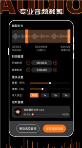 口袋录音机大师截图2