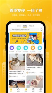 友猫app截图2