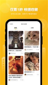 友猫app截图3